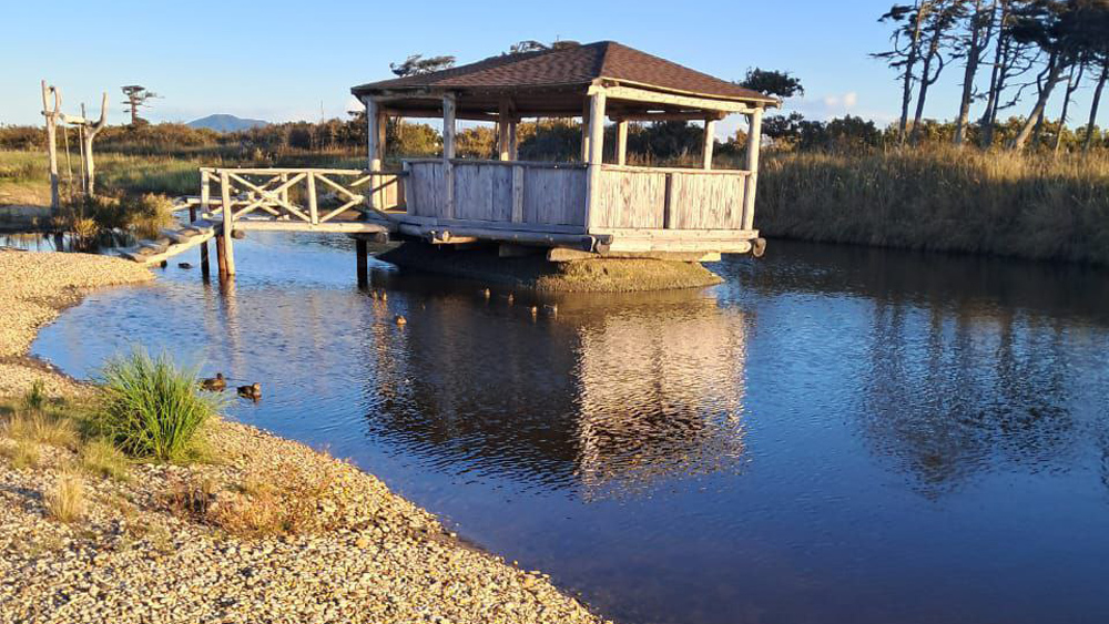 <p>Фото: из личного архива Олега Парапанова</p>