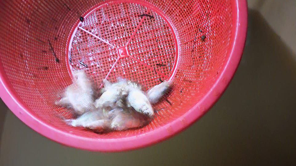 <p>Фото: из личного архива Олега Парапанова</p>