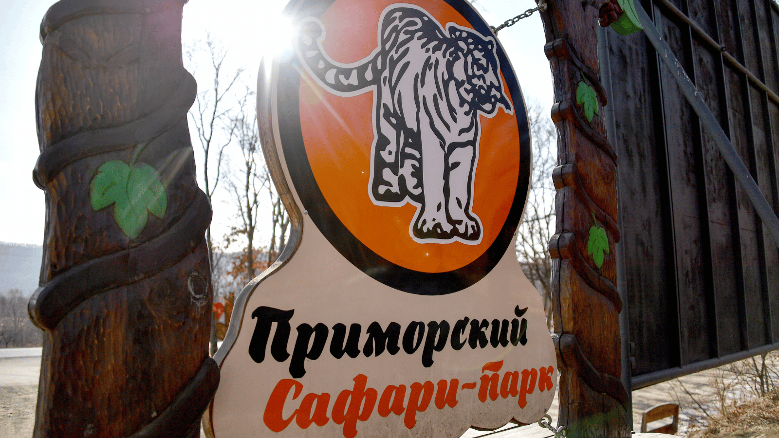 <p>Приморский Сафари-парк © Юрий Смитюк/ТАСС</p>